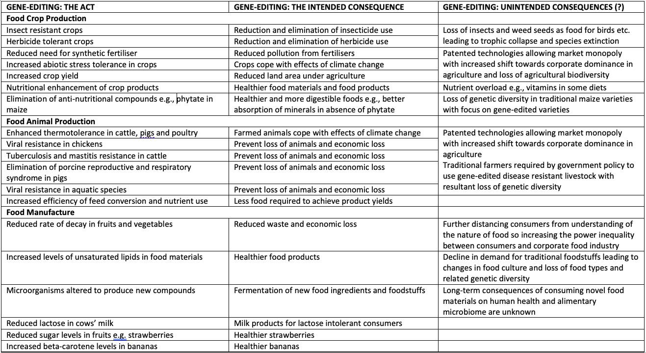 gene editing ethics essay